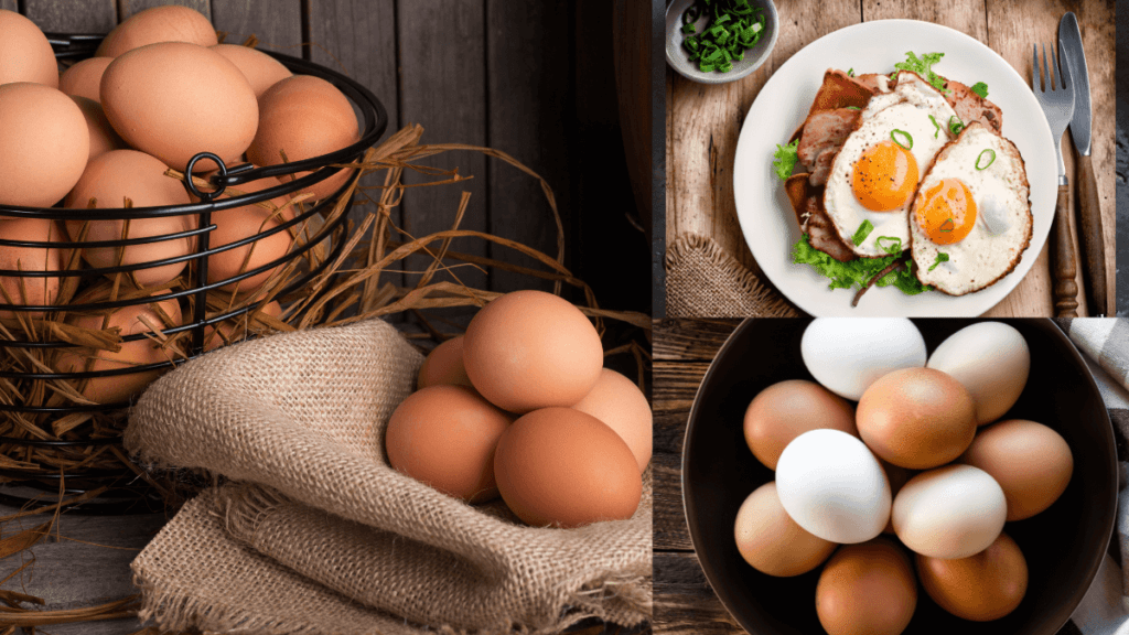 Melhores Alimentos Ricos em Colágeno