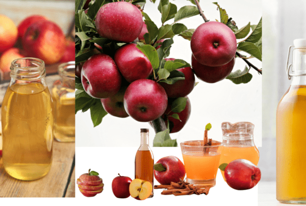 O vinagre tem benefícios comprovados para a saúde em algumas condições, mas é ineficaz para outras. É um remédio antigo. Hipócrates usava vinagre para combater infecções, tratar feridas e ajudar a aliviar tosses. Continue lendo para aprender tudo sobre mitos e fatos sobre o ACV.