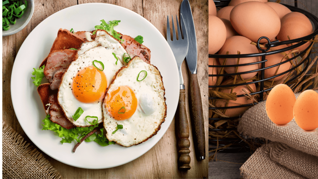 OVO UM SUPERALIMENTO os ovos também contêm quantidades úteis de vitaminas A, E, B5, B12, bem como ferro, iodo e fósforo - todos nutrientes vitais para apoiar sua dieta saudável e equilibrada. Ovos contêm todos os nove aminoácidos essenciais
