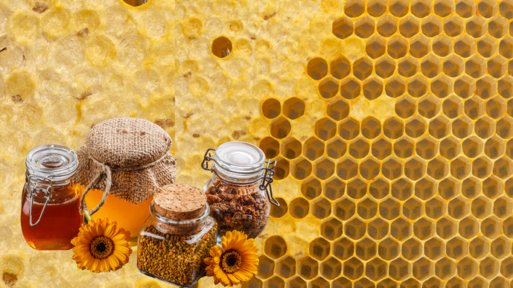 Benefícios do própolis Fortalecimento do Sistema Imunológico,Estudos científicos demonstraram que os extratos de própolis podem prevenir naturalmente e encurtar a duração do resfriado comum, que muitas vezes pode incluir a temida dor de garganta. Se o sistema imunológico estiver funcionando de forma ótima, esse tipo de infecção por fungos raramente é grave.