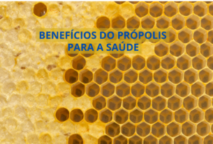 Benefícios do própolis para a saúde Você com certeza conhece o mel, mas sabe os benefícios do pólen da abelha ou geleia real? ,mas você já ouviu falar sobre o outro ingrediente derivado de abelha que é conhecido por ter propriedades incríveis para a saúde? Estou falando do própolis de abelha, também chamado de “cola de abelha”. Um líquido Dourado pode ser a crucial para fortalecer a tua saúde aumentar tua imunidade e até prolongar tua longevidade