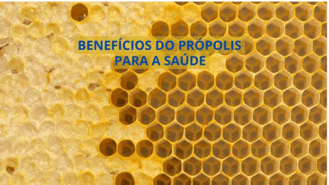 Benefícios do própolis para a saúde Você com certeza conhece o mel, mas sabe os benefícios do pólen da abelha ou geleia real? ,mas você já ouviu falar sobre o outro ingrediente derivado de abelha que é conhecido por ter propriedades incríveis para a saúde? Estou falando do própolis de abelha, também chamado de “cola de abelha”. Um líquido Dourado pode ser a crucial para fortalecer a tua saúde aumentar tua imunidade e até prolongar tua longevidade