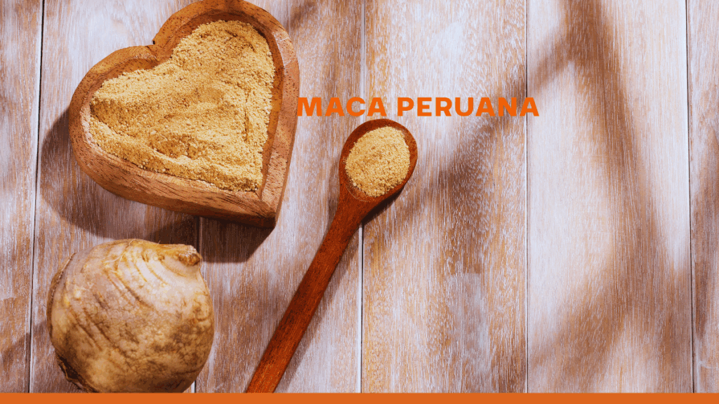 Durante séculos, a maca peruana foi utilizada tradicionalmente para aumentar a energia, a fertilidade e a vitalidade. Hoje, pesquisas científicas robustas vêm confirmando muitos desses usos ancestrais, revelando um leque impressionante de benefícios para a saúde que vão muito além do senso comum. Neste artigo, mergulharemos profundamente nos 10 principais benefícios da maca peruana, explorando as evidências científicas que sustentam seu poder e como essa raiz andina pode se tornar uma aliada valiosa para o seu bem-estar.