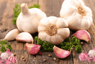 10 Poderosos Benefícios do Alho para a Saúde: revela-se um verdadeiro tesouro de benefícios para a saúde. Sua rica composição de compostos bioativos confere-lhe propriedades antimicrobianas, antioxidantes, anti-inflamatórias e cardioprotetoras, além de um potencial promissor na prevenção do câncer e na melhora de diversos aspectos da saúde. Incorporar o alho de forma regular e consciente na dieta é uma maneira simples e saborosa de promover o bem-estar geral e aproveitar os múltiplos poderes ocultos deste ingrediente extraordinário