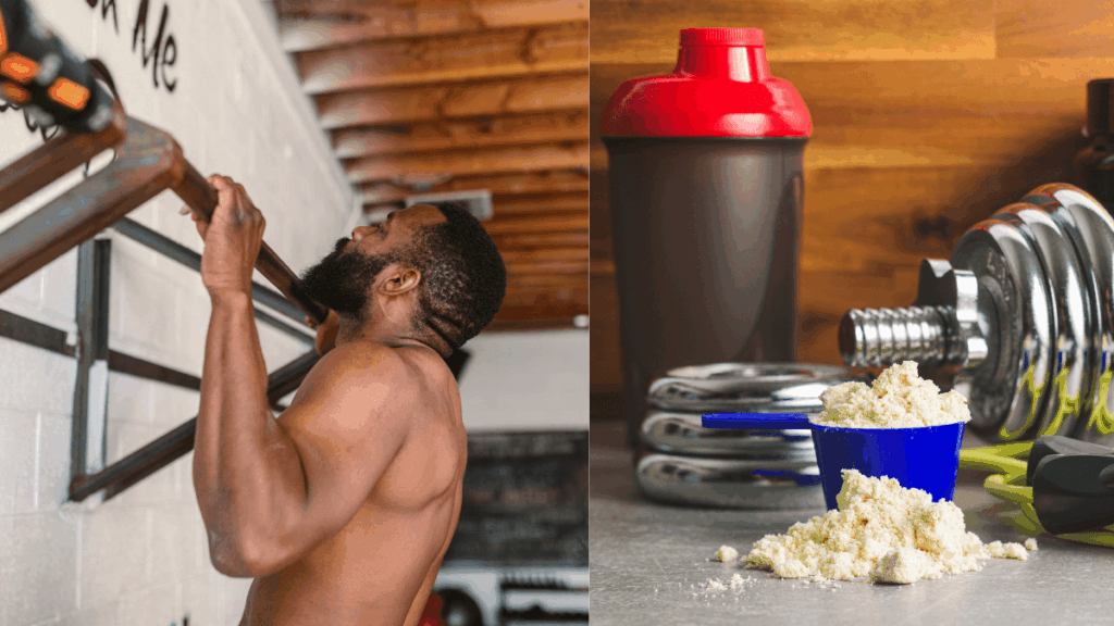 BENEFÍCIOS DA CREATINA PARA A SAÚDE