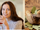 Experimente os 10 poderosos benefícios do chá de louro! As folhas de louro são uma ótima fonte de antioxidantes, vitaminas A e C, ferro, potássio, cálcio e magnésio, e é exatamente por isso que fazem maravilhas para o sistema gastrointestinal. Além disso, funcionam como antioxidantes, antidiabéticos, diuréticos e estimulantes do apetite. E se você está pensando em aumentar seu estoque de chá, não pode perder o chá de louro. Aliás, o sabor é muito melhor do que o do chá verde.