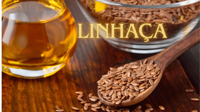 Poderosos Benefícios da Linhaça para a Saúde Semente Poderosa: