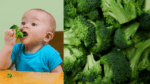 10-Beneficios-Incriveis-que-o-Brocolis-Pode-Trazer-para-a-Sua-Saude-