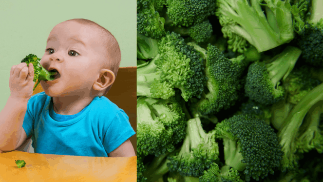 10-Beneficios-Incriveis-que-o-Brocolis-Pode-Trazer-para-a-Sua-Saude-