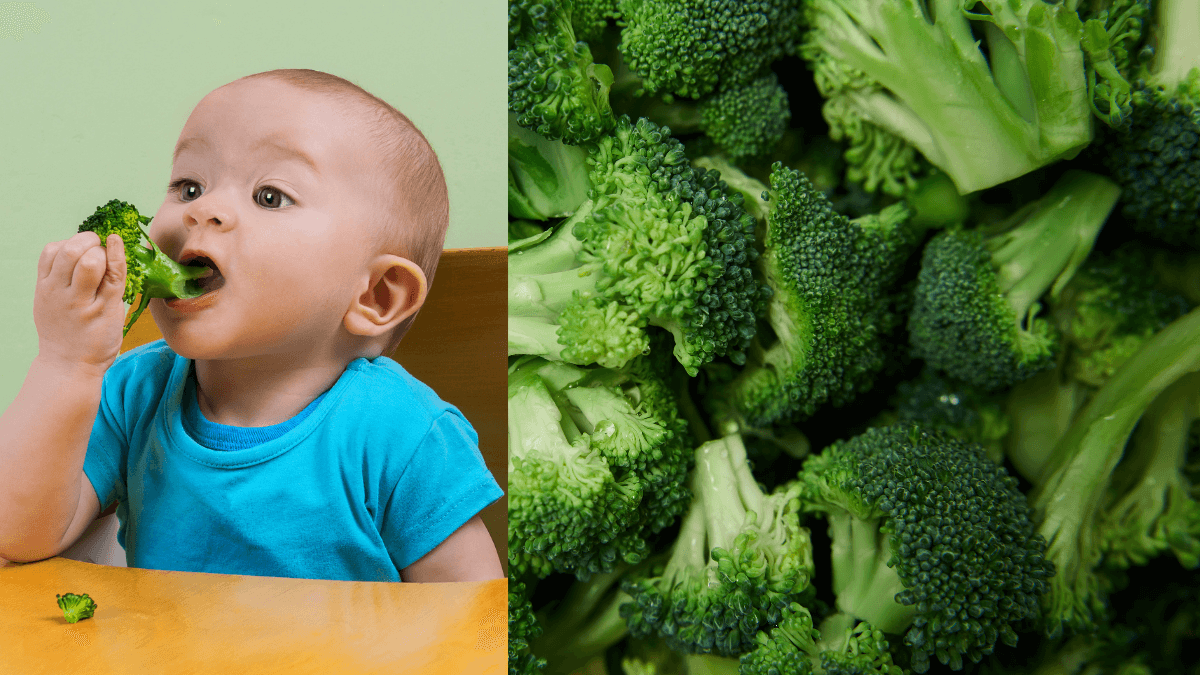 O brócolis é uma fonte rica em múltiplas vitaminas, minerais e fibras. Diferentes métodos de cozimento podem afetar a composição nutricional do vegetal, mas o brócolis é uma adição saudável à sua dieta, seja cozido ou cru.