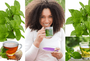 Benefícios Revigorantes do Chá de Hortelã: O chá de hortelã-pimenta é naturalmente doce e livre de cafeína. Pode estar associado a benefícios para a saúde, incluindo melhora da digestão, aumento da concentração e alívio da enxaqueca.