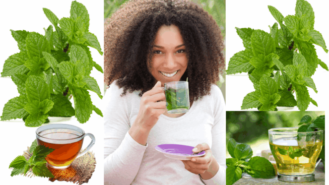 Benefícios Revigorantes do Chá de Hortelã: O chá de hortelã-pimenta é naturalmente doce e livre de cafeína. Pode estar associado a benefícios para a saúde, incluindo melhora da digestão, aumento da concentração e alívio da enxaqueca.