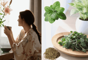 Os 10 Poderosos Benefícios do Chá de Orégano para a Sua Saúde