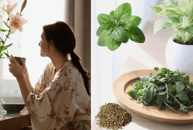 Os 10 Poderosos Benefícios do Chá de Orégano para a Sua Saúde