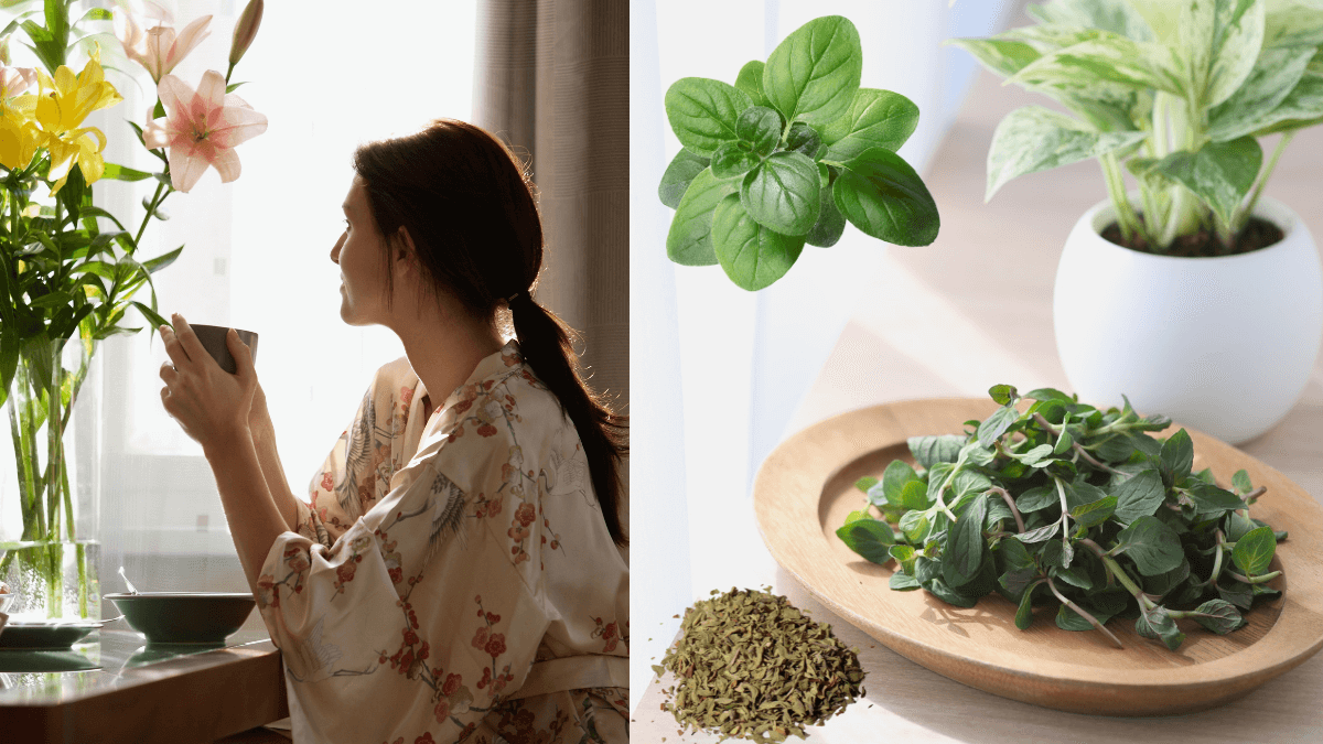 Os 10 Poderosos Benefícios do Chá de Orégano para a Sua Saúde