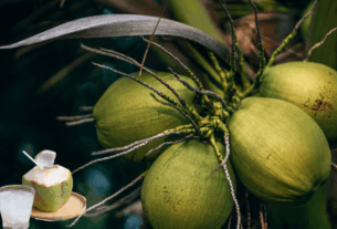 Os Poderosos Benefícios da Água de Coco Verde : A maioria dos benefícios da água de coco para a saúde se deve aos seus altos níveis de eletrólitos , como potássio, cálcio e magnésio. Os eletrólitos são minerais essenciais que possuem carga positiva ou negativa natural quando dissolvidos em água. Eles ajudam o corpo a regular reações químicas e a manter os fluidos corporais em equilíbrio, entre muitas outras coisas.