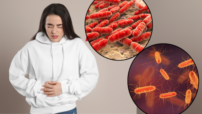 Vermes intestinais costumam causar sintomas gastrointestinais, como diarreia, porque vivem no trato digestivo. Outros sintomas, como erupções cutâneas ou dificuldade para respirar, também podem ocorrer, dependendo do tipo de verme e da doença relacionada. Algumas pessoas não apresentam nenhum sintoma.