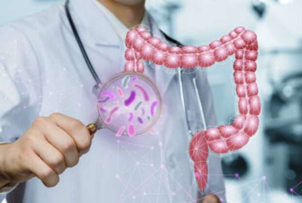 os vermes intestinais podem causar uma série de sintomas que, muitas vezes, passam despercebidos ou são confundidos com outros problemas de saúde. No entanto, sinais como dor abdominal, cansaço, coceira anal e alterações no apetite devem servir como alerta.