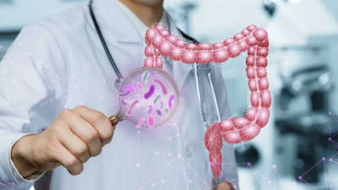 os vermes intestinais podem causar uma série de sintomas que, muitas vezes, passam despercebidos ou são confundidos com outros problemas de saúde. No entanto, sinais como dor abdominal, cansaço, coceira anal e alterações no apetite devem servir como alerta.