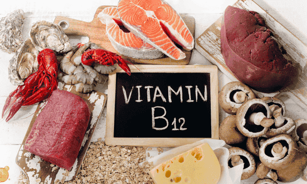 Antes de tudo, é imperativo destacar um dos maiores vilões desta confusão diagnóstica: a deficiência crônica de Vitamina B12 (cobalamina). Este nutriente extraordinário é o arquiteto invisível do seu sistema nervoso e o combustível primário das suas células sanguíneas. Com efeito, a carência desta vitamina manifesta-se através de sintomas neurológicos e físicos tão devastadores que são rotineiramente — e tragicamente — diagnosticados de forma incorreta como demência senil, mal de Alzheimer, depressão geriátrica ou simplesmente "coisas da idade".