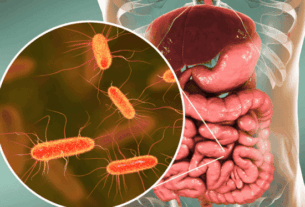 As Bactérias Intestinais em um mundo onde a busca por saúde e longevidade frequentemente se concentra em dietas restritivas, suplementos exóticos e rotinas de exercícios exaustivas, existe um universo inteiro operando silenciosamente dentro do corpo humano, ditando regras fundamentais sobre o bem-estar físico e mental. Antes de tudo, é essencial compreender que o organismo não é apenas uma máquina celular isolada; de fato, ele é um ecossistema vasto, complexo e altamente interconectado.