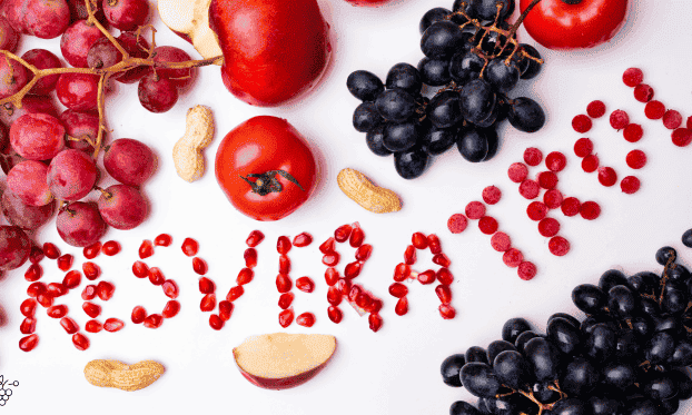 o resveratrol transcende a ideia de ser apenas um "antioxidante comum". Ele é um comunicador molecular; uma chave de fenda biológica que entra no seu DNA e liga os genes de proteção e reparo que a vida moderna sedentarizou. Portanto, ao tomar a decisão madura e consciente de incluir um suplemento de trans-resveratrol purificado e de alta absorção na sua rotina, você não está buscando um atalho milagroso.