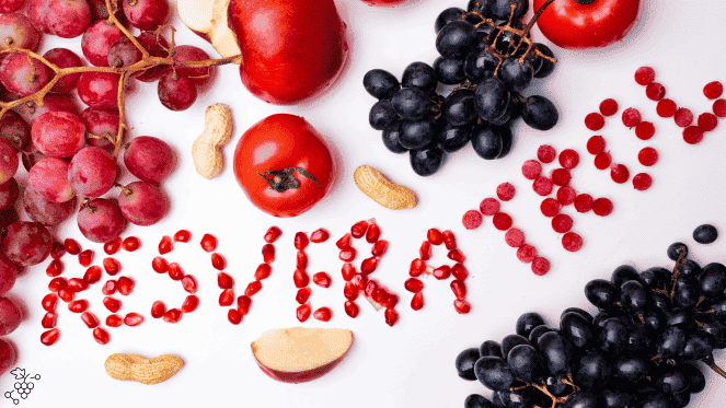 o resveratrol transcende a ideia de ser apenas um "antioxidante comum". Ele é um comunicador molecular; uma chave de fenda biológica que entra no seu DNA e liga os genes de proteção e reparo que a vida moderna sedentarizou. Portanto, ao tomar a decisão madura e consciente de incluir um suplemento de trans-resveratrol purificado e de alta absorção na sua rotina, você não está buscando um atalho milagroso.